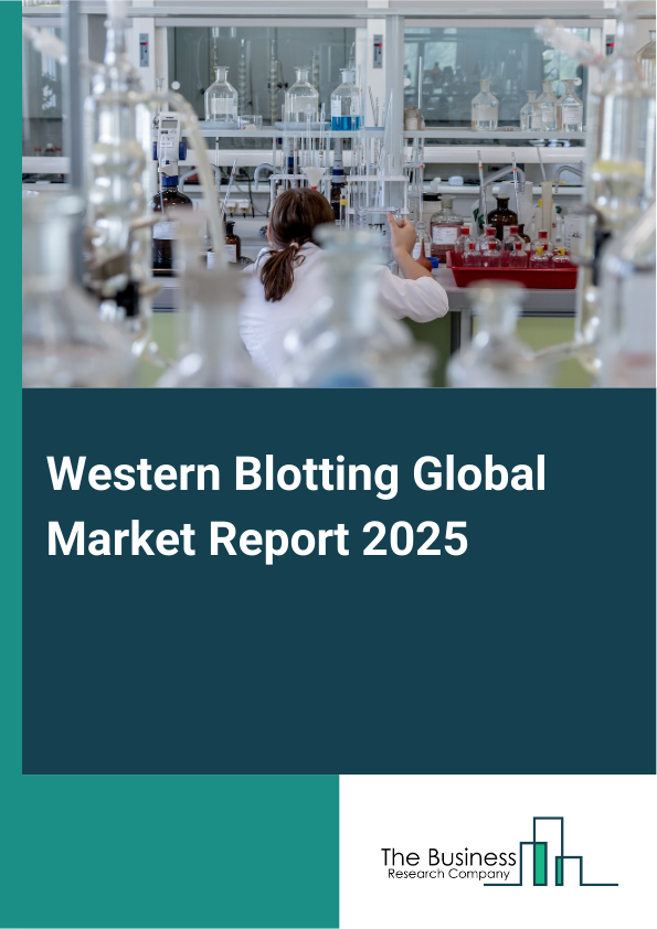 Global Western Blotting Market Report 2025