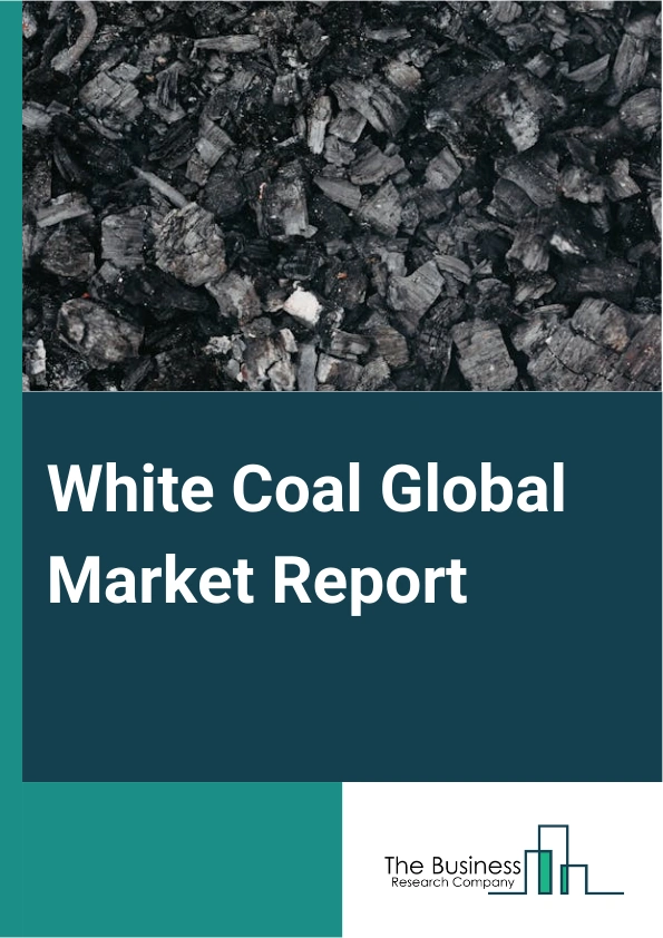 Global White Coal Market Report 2025