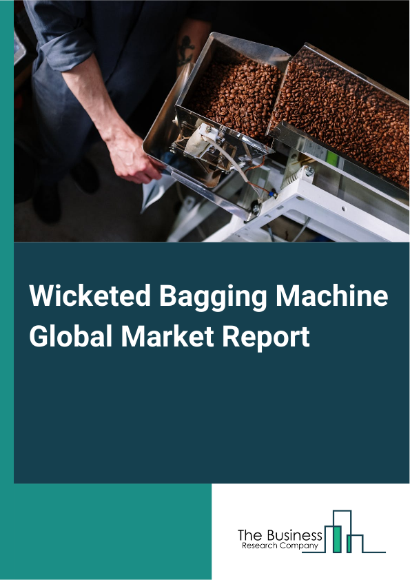 Global Wicketed Bagging Machine Market Report 2025