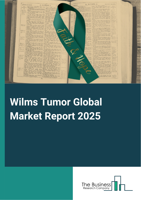 Global Wilms Tumor Market Report 2025