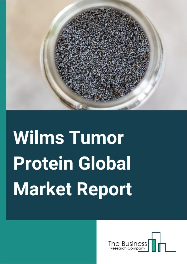 Wilms Tumor Protein Global Market Report 2025 – By Product Type (Antibodies, Assay Kits, Recombinant Proteins, Other Types), By Detection Method (Immunohistochemistry (IHC), Enzyme-Linked Immunosorbent Assay (ELISA), Western Blotting, Polymerase Chain Reaction (PCR), Other Methods), By Application (Cancer Diagnosis, Cancer Treatment, Research And Development, Other Applications), By End User (Hospitals, Diagnostic Laboratories, Research Institutes, Other End Users) – Market Size, Trends, And Global Forecast 2025-2034