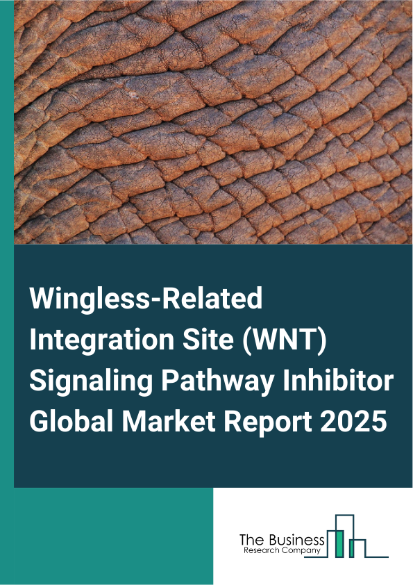 Global Wingless-Related Integration Site (WNT) Signaling Pathway Inhibitor Market Report 2025