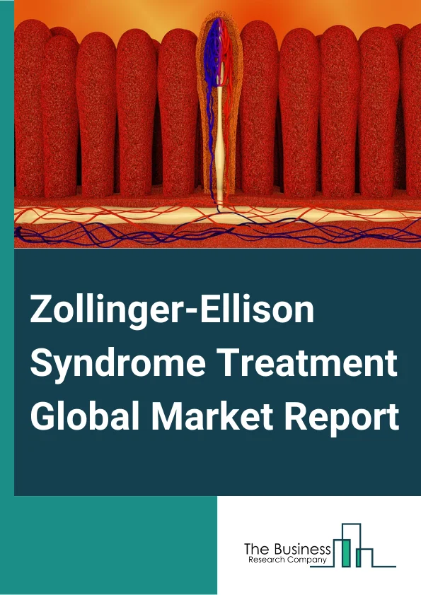 Zollinger-Ellison Syndrome Treatment Global Market Report 2024 